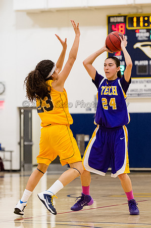 LA Trade Tech at LA Harbor College Women's Basketball 1/31/14