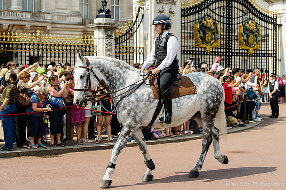 Metropolitan Mounted Police