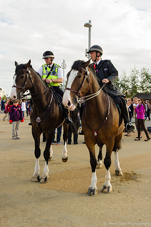 Metropolitan Mounted Police