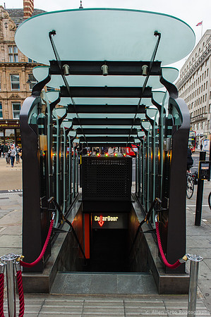 CellarDoor