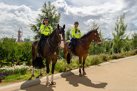 Metropolitan Mounted Police