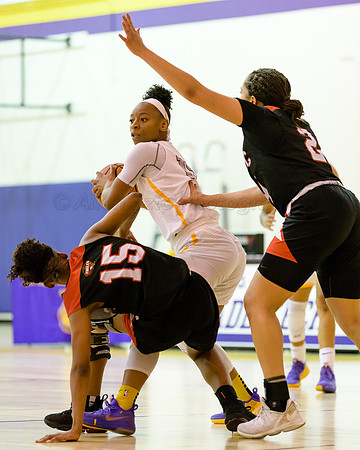 Mt. San Jacinto College at LA Trade Tech Women's Basketball 3/9/19