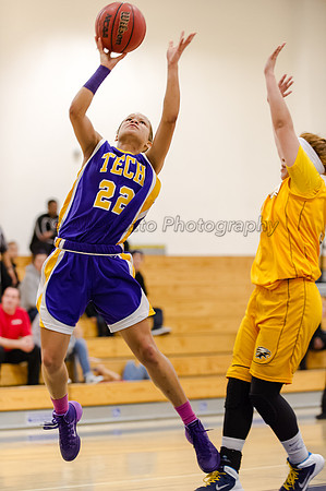 LA Trade Tech at LA Harbor College Women's Basketball 1/31/14