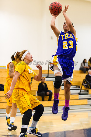 LA Trade Tech at LA Harbor College Women's Basketball 1/31/14