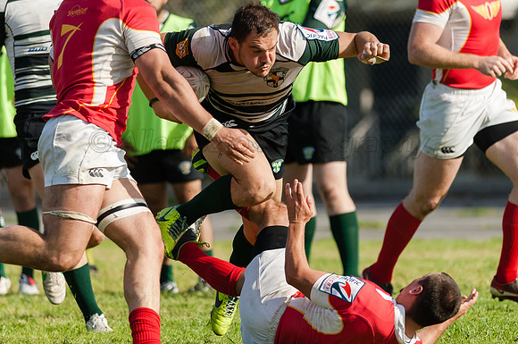Mathieu Lesgourgues