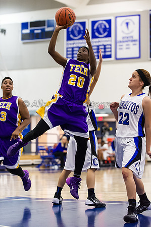 LA Trade Tech at Cerritos College Women's Basketball 1/24/14