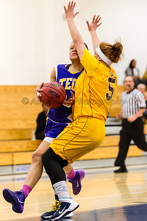 LA Trade Tech at LA Harbor College Women's Basketball 1/31/14