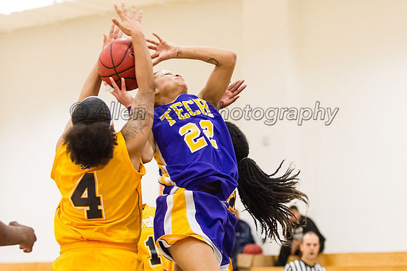 LA Trade Tech at LA Harbor College Women's Basketball 1/31/14