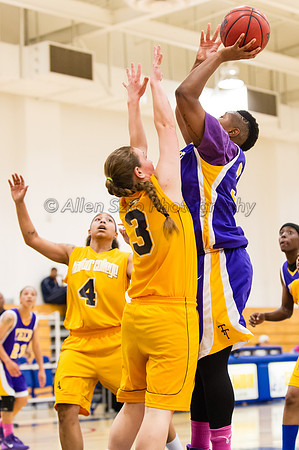 LA Trade Tech at LA Harbor College Women's Basketball 1/31/14