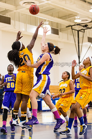 LA Trade Tech at LA Harbor College Women's Basketball 1/31/14